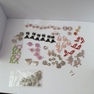 Assorted Silver and Pink Charms